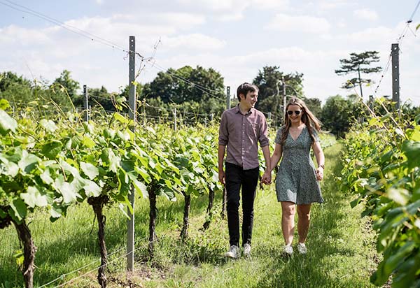 Couple walking between the vines at the Mount Vineyard